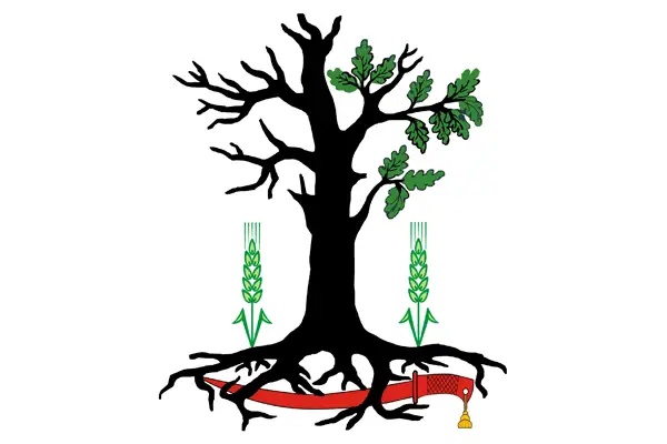 Флаг: Стародубский муниципальный округ